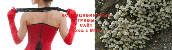 каннабис Михайловск