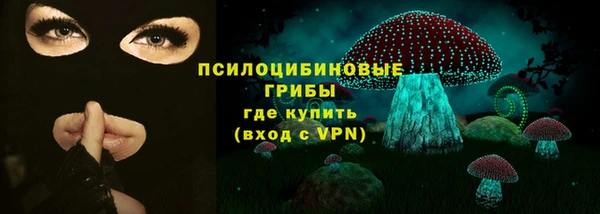 тгк Заречный
