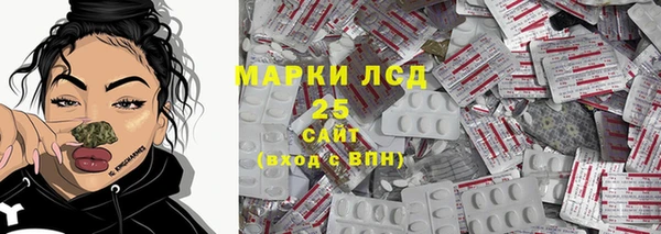 ГАЛЛЮЦИНОГЕННЫЕ ГРИБЫ Заполярный