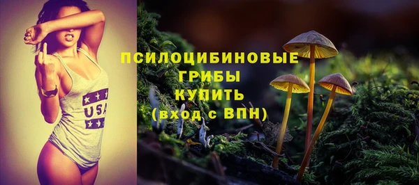 таблы Медногорск
